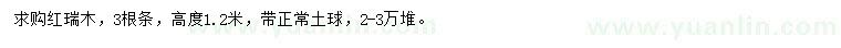 求購高度1.2米紅瑞木