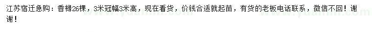 求購冠幅3米香櫞