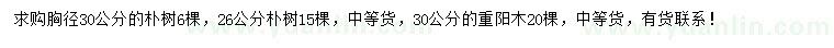 求購(gòu)胸徑26、30公分樸樹(shù)、30公分重陽(yáng)木