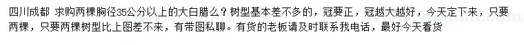求購(gòu)胸徑35公分以上大白臘