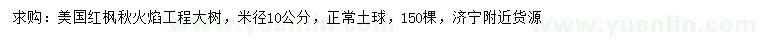 求購米徑10公分美國紅楓秋火焰