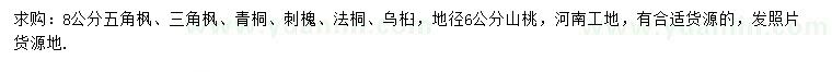 求購五角楓、三角楓、青桐等