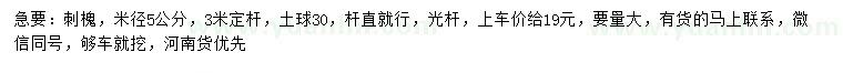 求購米徑5公分刺槐