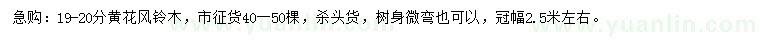 求購19-20分黃花風(fēng)鈴木