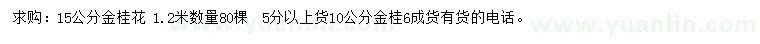 求購(gòu)15公分金桂