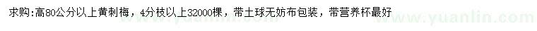 求購高80公分以上黃刺梅