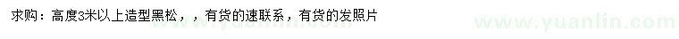 求購高度3米以上造型黑松