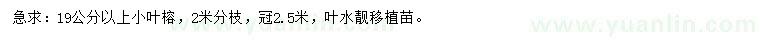 求購(gòu)19公分以上小葉榕