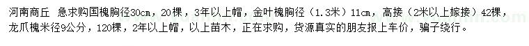 求購國槐、金葉槐、龍爪槐