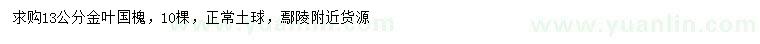 求購13公分金葉國槐