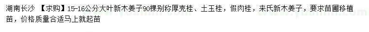 求購15-16公分大葉新木姜子