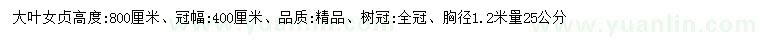 求購(gòu)胸徑1.2米量25公分大葉女貞