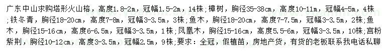 求購火山榕、樟樹、鐵冬青等