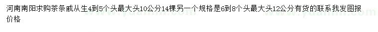 求購從生茶條槭