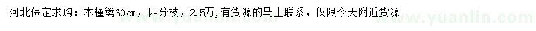 求購(gòu)60公分木槿