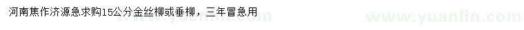 求購(gòu)15公分金絲柳、垂柳