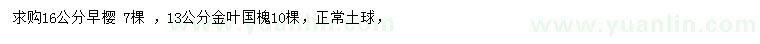 求購(gòu)16公分早櫻、13公分金葉國(guó)槐