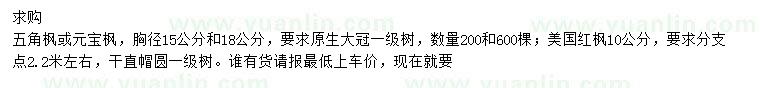 求購五角楓、元寶楓、美國紅楓
