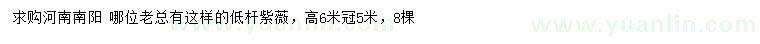 求購(gòu)高6米紫薇