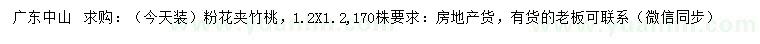 求購(gòu)1.2*1.2米粉花夾竹桃
