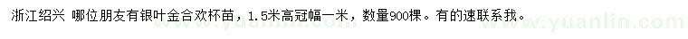 求購高1.5米銀葉金合歡