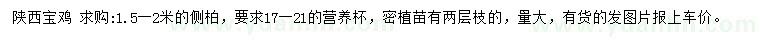 求購1.5-2米側(cè)柏