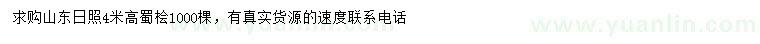 求購(gòu)4米高蜀檜