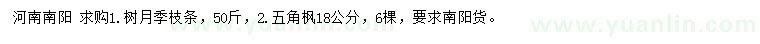 求購樹月季枝條、18公分五角楓
