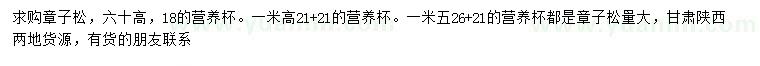 求購高60、100、150公分章子松