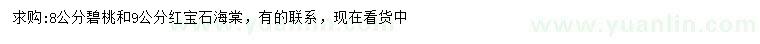 求購8公分碧桃、9公分紅寶石海棠