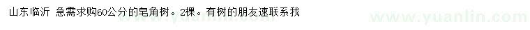 求購60公分皂角
