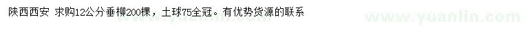 求購12公分垂柳