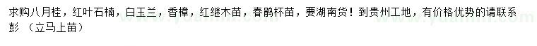 求購八月桂、紅葉石楠、白玉蘭等