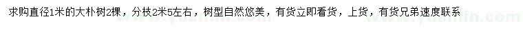 求購(gòu)直徑1米的大樸樹