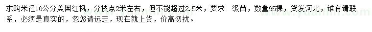 求購米徑10公分美國紅楓