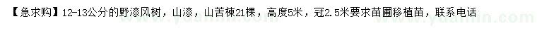 求購12-13公分野漆風(fēng)樹