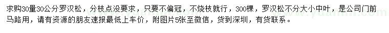 求購30量30公分羅漢松