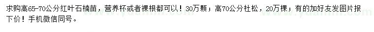 求購高65-70公分紅葉石楠苗、高70公分杜松
