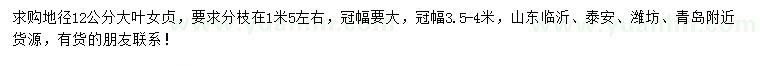 求購地徑12公分大葉女貞