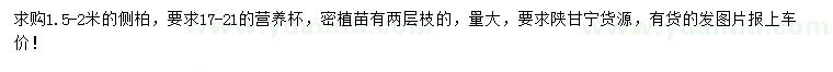 求購1.5-2米側(cè)柏