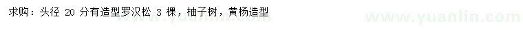求購羅漢松、柚子樹、黃楊