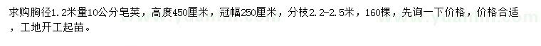 求購(gòu)胸徑1.2米量10公分皂莢