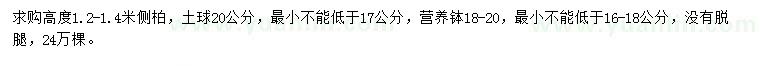 求購高1.2-1.4米側柏