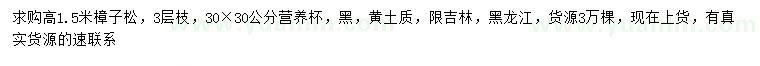 求購高1.5米樟子松