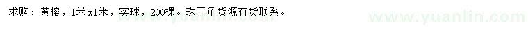 求購1*1米黃榕