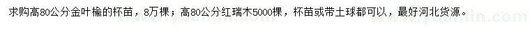 求購高80公分金葉榆、紅瑞木
