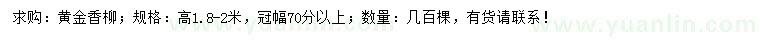 求購(gòu)高1.8-2米黃金香柳