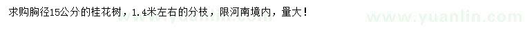 求購(gòu)胸徑15公分桂花