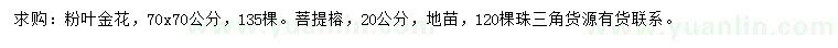 求購70*70公分粉葉金花、20公分菩提榕