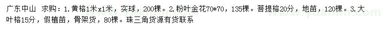 求購黃榕、粉葉金花、菩提榕